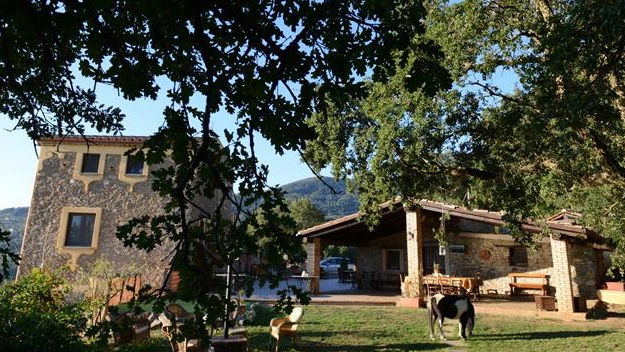 «I ristori il bonus Made in Italy anche ad agriturismo e ittoturismi»