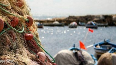 Corigliano-Rossano: la minoranza chiede un Consiglio Comunale monotematico sulla pesca