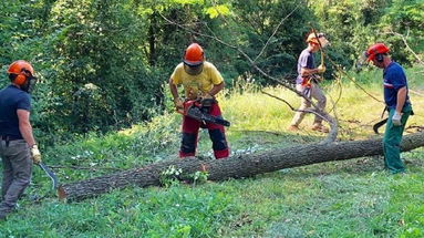 Lavoratori forestali calabresi, Fai-Cisl, Flai-Cgil e Uila-Uil uniti per discutere delle criticità con la Regione