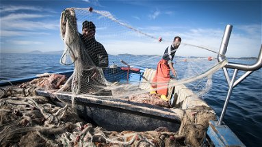 UDC di Corigliano-Rossano: «La città deve salvare il mercato ittico e la Meris»