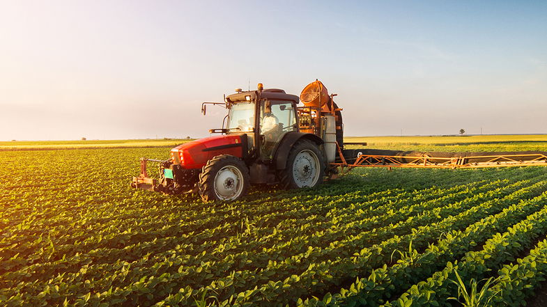 Agricoltura: Cassano, San Lorenzo, Spezzano e Terranova al lavoro per lo stato di calamità e collaborazione intercomunale