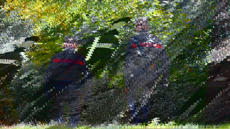 Arbëria, anziano a spasso tra le campagne finisce in un torrente: salvato dai carabinieri
