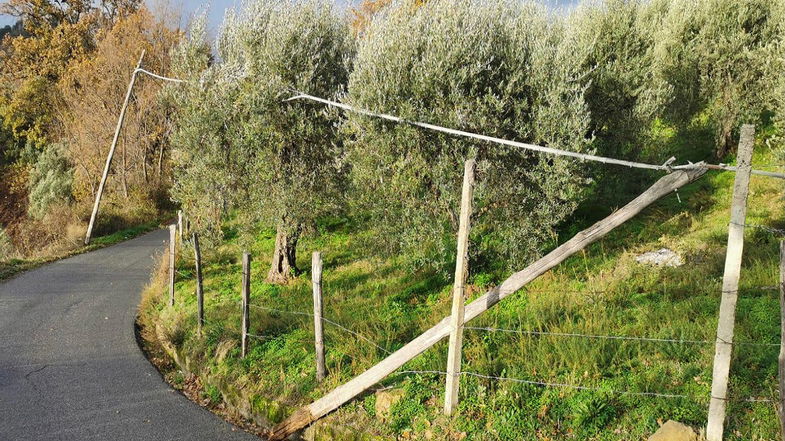 Caloveto, chiusa una strada a causa di pali telefonici pericolanti