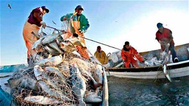 Pesca, la Regione Calabria raggiunge il 110% del target di spesa