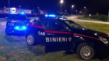 Provincia di Cosenza: un anno con i Carabinieri. Tutti i numeri del 2020