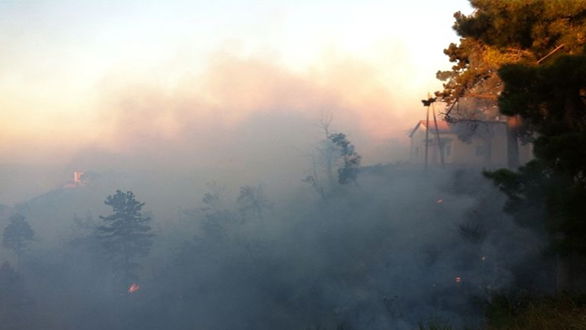 Incendi a Rossano, pene certe per i piromani