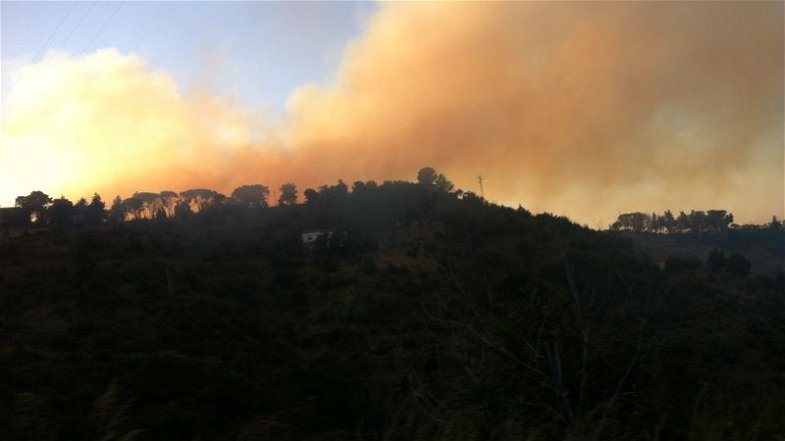Rossano: prevenzione incendi, Regione finanzia progetto per riqualificazione boschi