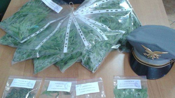 Coltivava Cannabis nei boschi, arrestato un uomo a S.Agata d’Esaro
