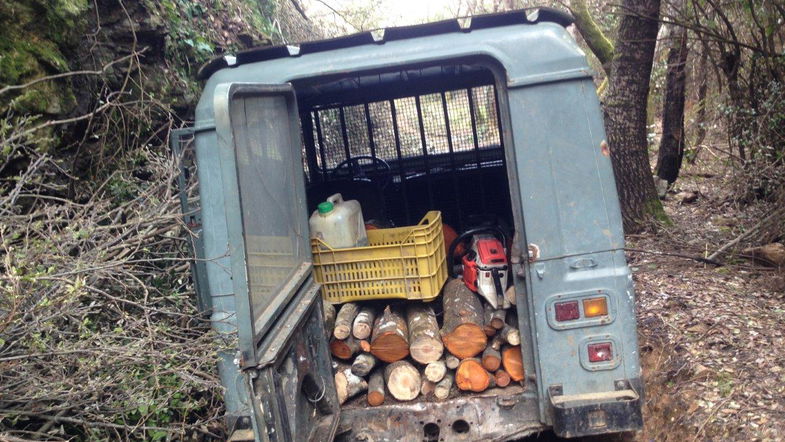 San Demetrio, tre arresti per furto di legna