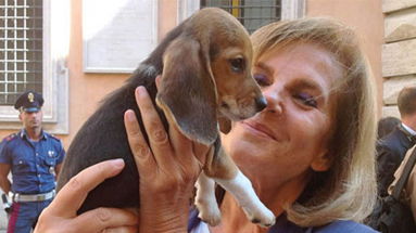 Randagismo, Carla Rocchi (Ente Nazionale Protezione Animali): 