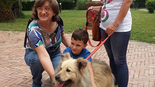 Corigliano: adozione cani, Peppino ha trovato casa