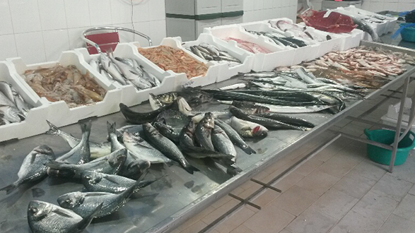 Alto Jonio, i prodotti ittici del nostro mare sempre più introvabili