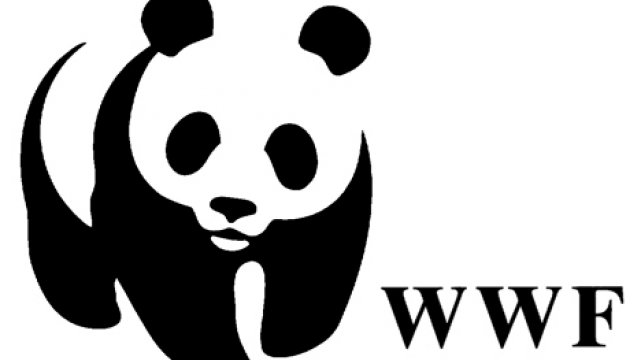 Rossano: WWF, ottimo successo per la “Giornata delle Oasi” 2015
