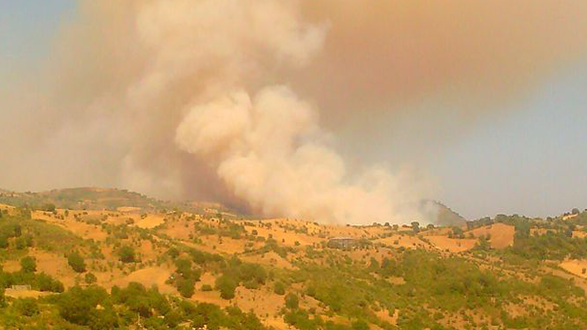Vasto incendio nell'Alto Jonio. Abitazioni evacuate