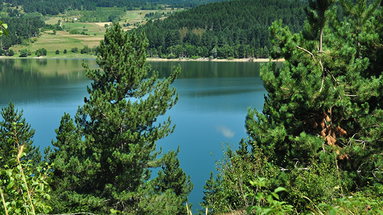 Il 18 dicembre il Parco nazionale della Sila presenta i risultati del progetto “BioEuparks”