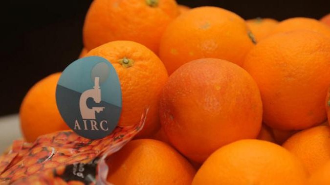 Le arance calabresi per la ricerca sul cancro