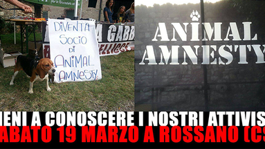 Animal Amnesty arriva a Rossano