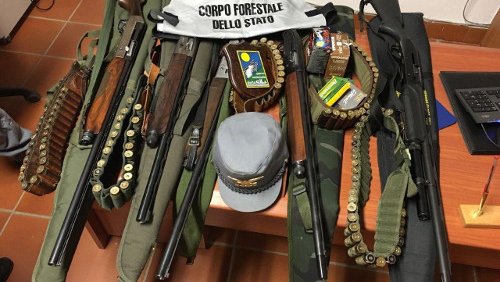 Armi nel Parco della Sila, 5 cacciatori sorpresi e denunciati a Bocchigliero