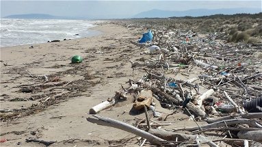 Calabria, rifiuti spiaggiati: costa tirrenica peggio di quella jonica