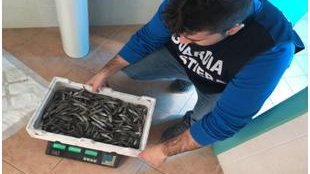 Guardia Costiera: controllata intera filiera pesca della Calabria e Lucania