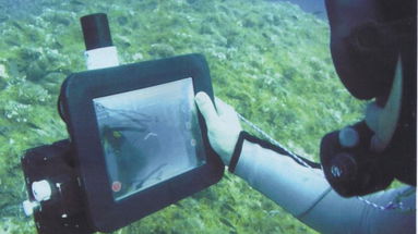 Alla scoperta dei tesori calabresi in fondo al mare