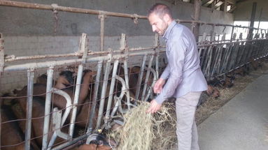 Targa Eccellenza ONAF per Caseificio Forciniti di Cariati