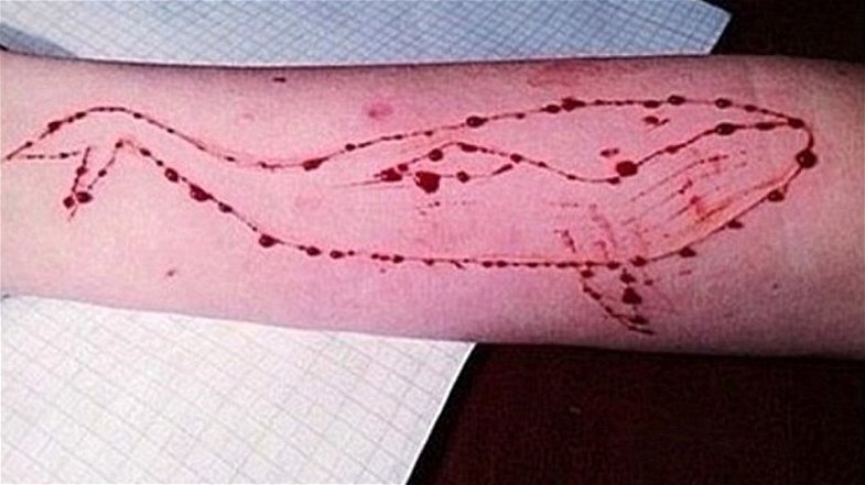 Blue Whale, 16enne cosentino istigava coetanea al suicidio