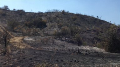 Fidelitas,emergenza incendi: l'associazione coriglianese si mobilita per il territorio
