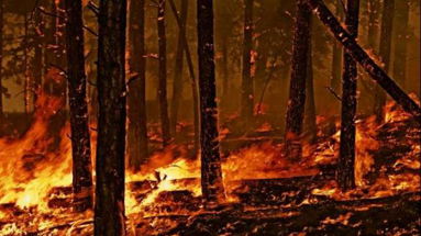 Incendi, 300 evacuati nel Cosentino