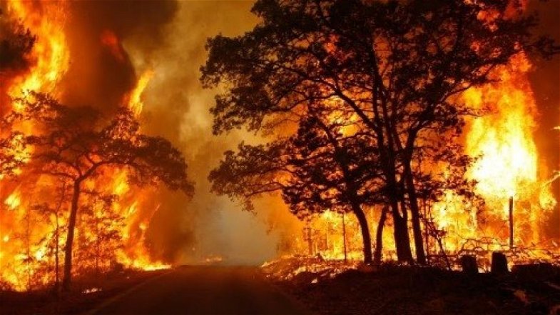 Calabria assediata dagli incendi, evacuate tre famiglie nel Cosentino