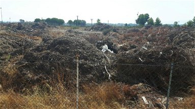 Villapiana: sequestrata area ex campo sportivo con rifiuti