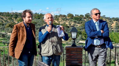 Camminata tra gli olivi a Rossano, successo di presenze