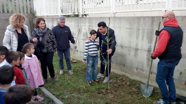 Un ulivo davanti ad ogni scuola. Crosia celebra la Giornata dell’Albero