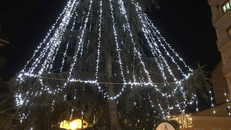 Rossano, Federimprese Calabria accende l'albero allo scalo