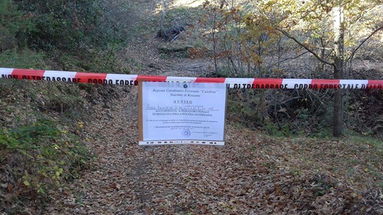 Campana: sequestrata area boscata. Riscontrate irregolarità sul taglio in corso.