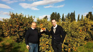 Clementine di Corigliano a Sanremo