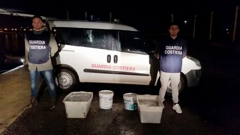 Montegiordano: Guardia Costiera sequestra e distrugge 150 chili di sardella