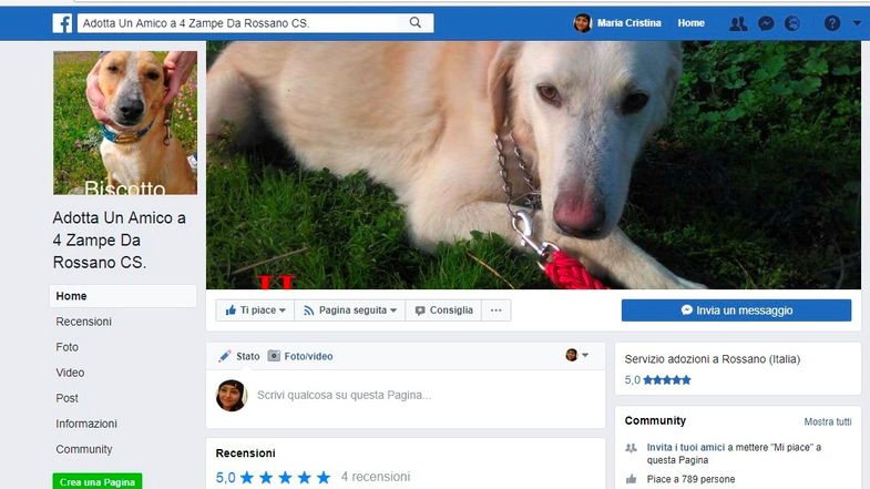 Rossano: adozione cani, successo per pagina Facebook