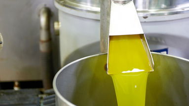 Olio extravergine, successo per Rossano a Trieste