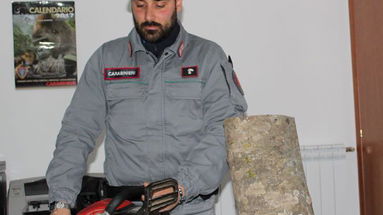 Carabinieri Parchi Sila:sorpreso a tagliare legna, denunciato un uomo