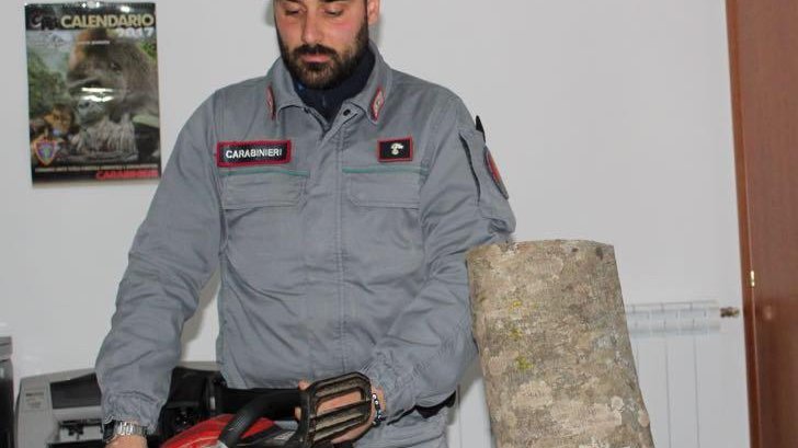 Carabinieri Parchi Sila:sorpreso a tagliare legna, denunciato un uomo