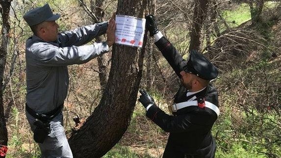 Carabinieri Forestali, sequestro boschi nell'Alto Jonio cosentino