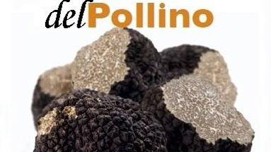 Castrovillari: il 30 convegno sul tartufo del Pollino: biodiversità e valorizzazione