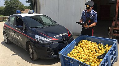 Carabinieri arrestano 4 persone per furto aggravato
