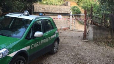 Carabinieri Forestale: sequestro a Scala Coeli e controlli edilizi a Bocchigliero