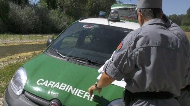 Carabinieri Forestale Calabria: sequestrati 40 ettari di pineta ad Amendolara