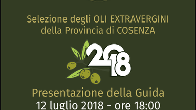 Camera Commercio Cosenza: il 12 presentazione della Guida 