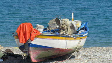 Comitato pescatori costieri artigianali: stagione estiva conclusa, incertezze e futuro nebuloso