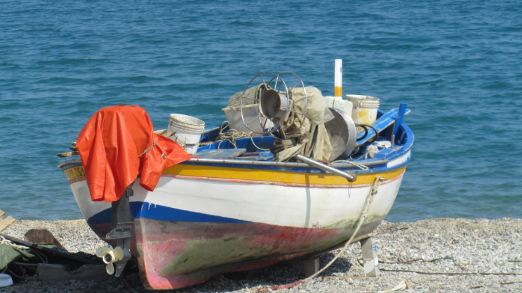 Comitato pescatori costieri artigianali: stagione estiva conclusa, incertezze e futuro nebuloso