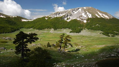 Il Parco del Pollino è al Salone del Gusto di Torino